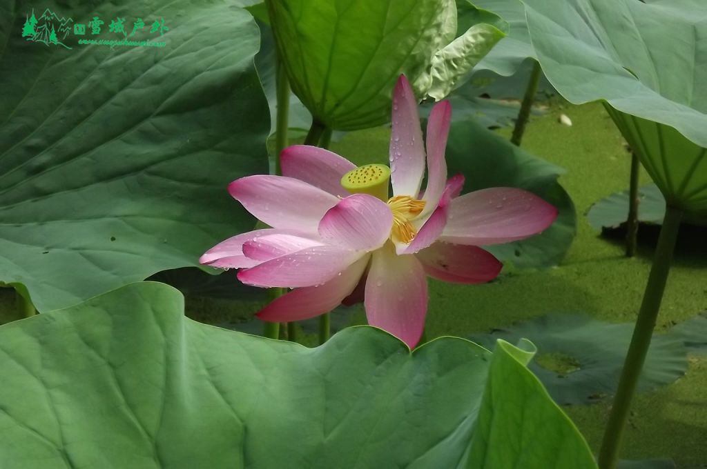 DSCF5408.JPG