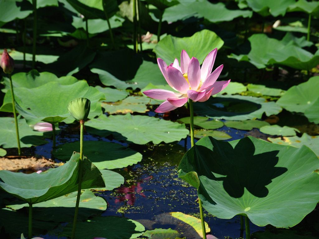 DSC_0025.JPG
