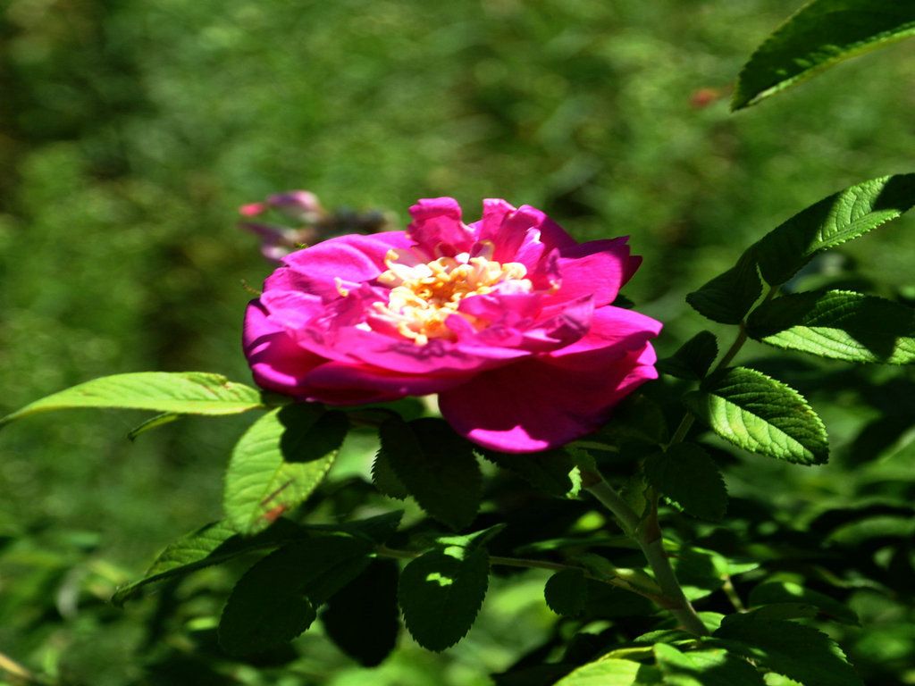 DSC_0052_����.JPG