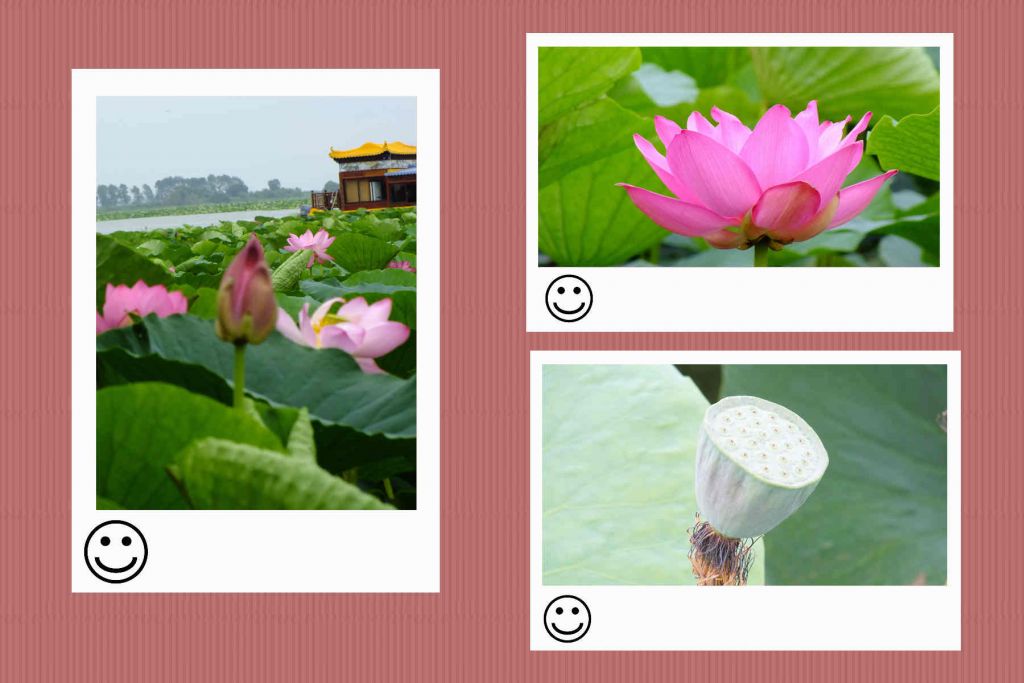 ��Ƭ 234_����.jpg