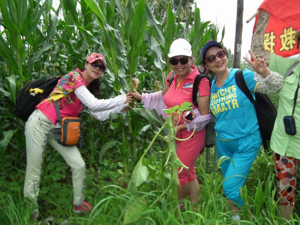 DSCF6485.JPG