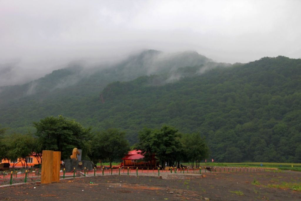 IMG_1884.jpg