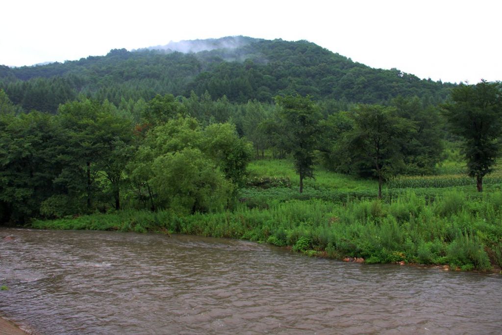 IMG_1895.jpg