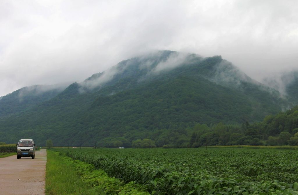 IMG_1925.jpg