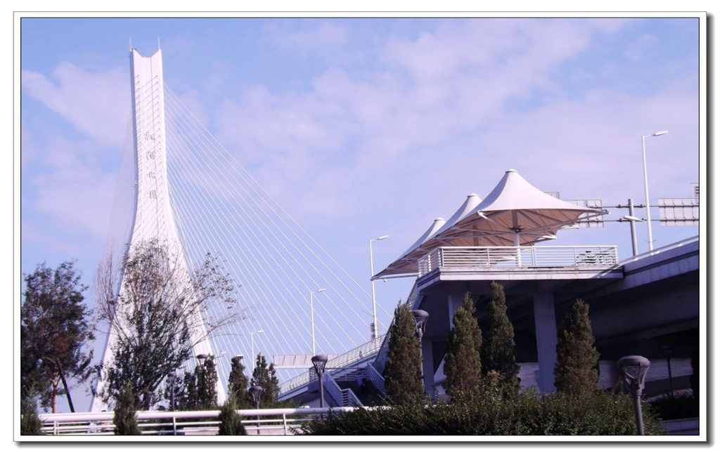 DSCF4018.jpg