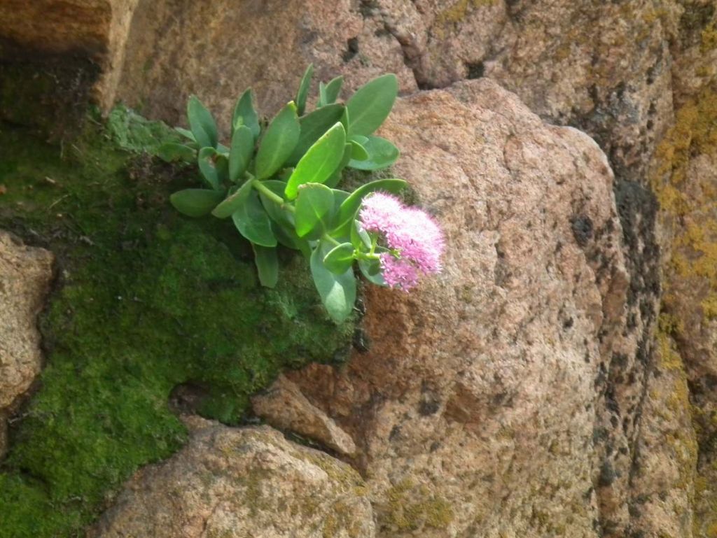 DSCF0269.JPG