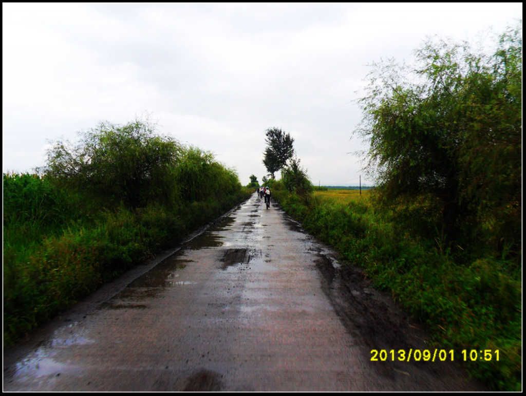 SDC12229.jpg