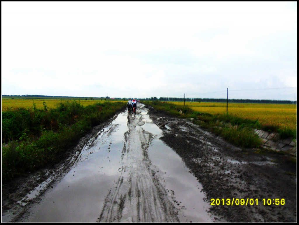 SDC12231.jpg