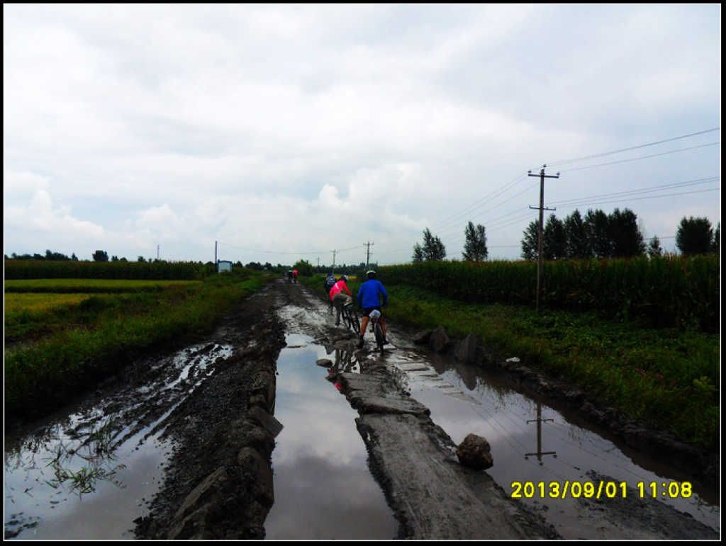 SDC12264.jpg