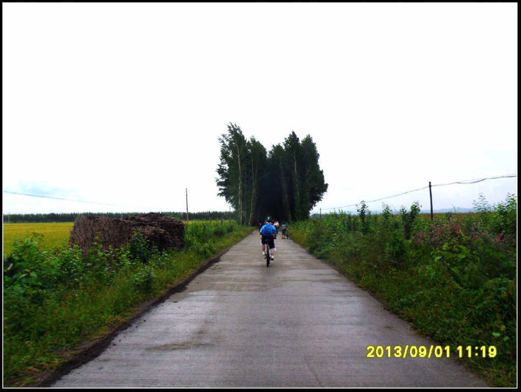 SDC12279.jpg