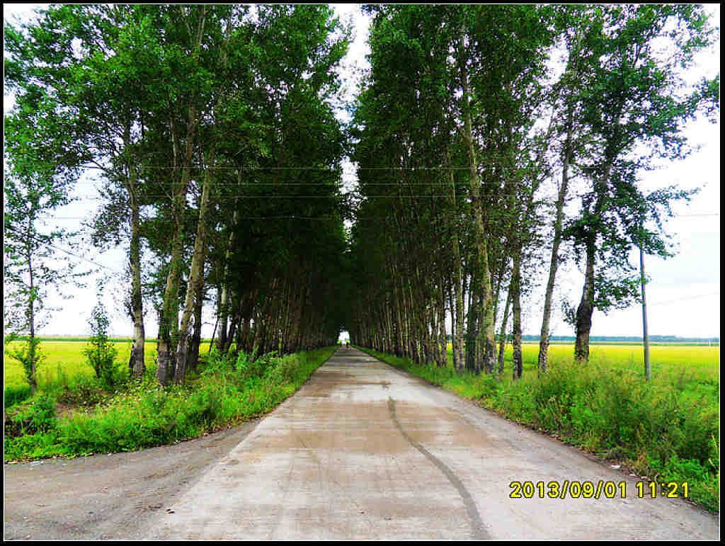 SDC12297.jpg