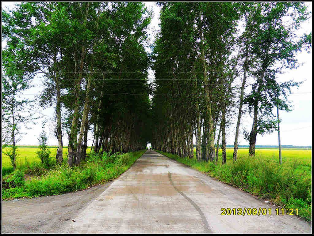 SDC12297.jpg