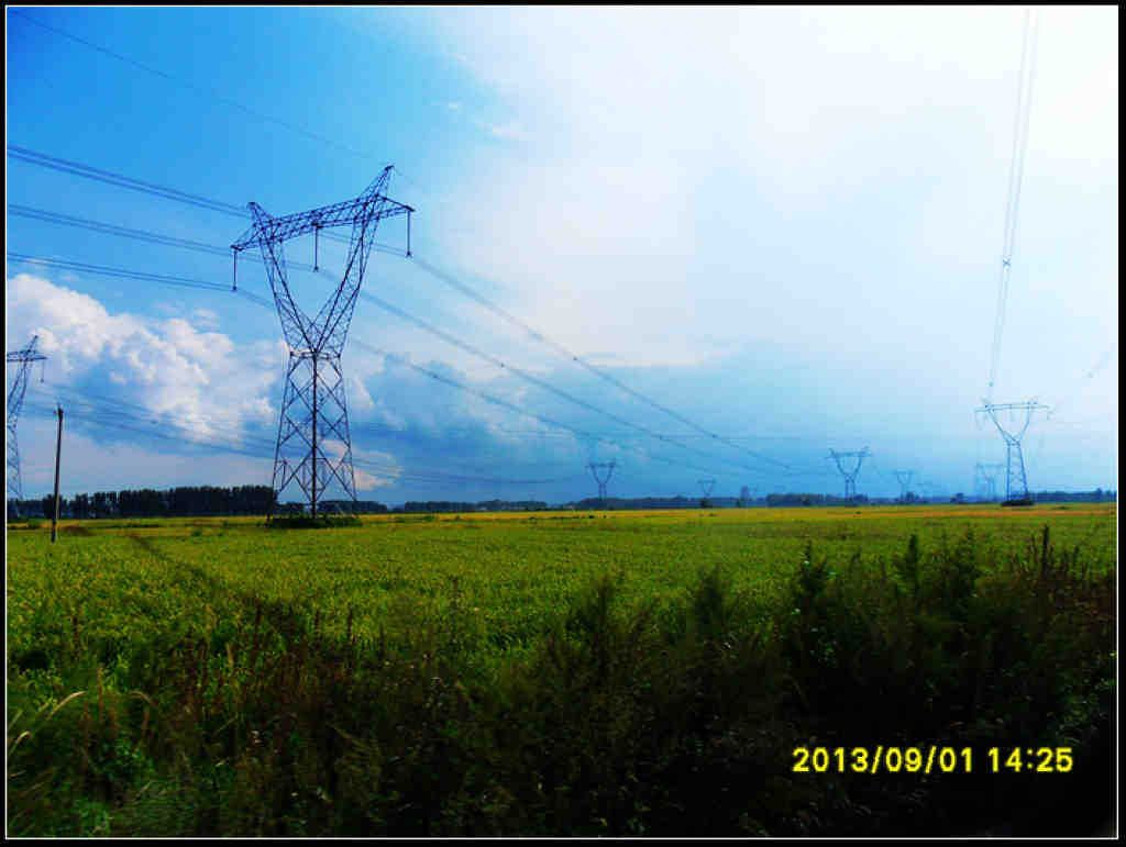 SDC12486.jpg