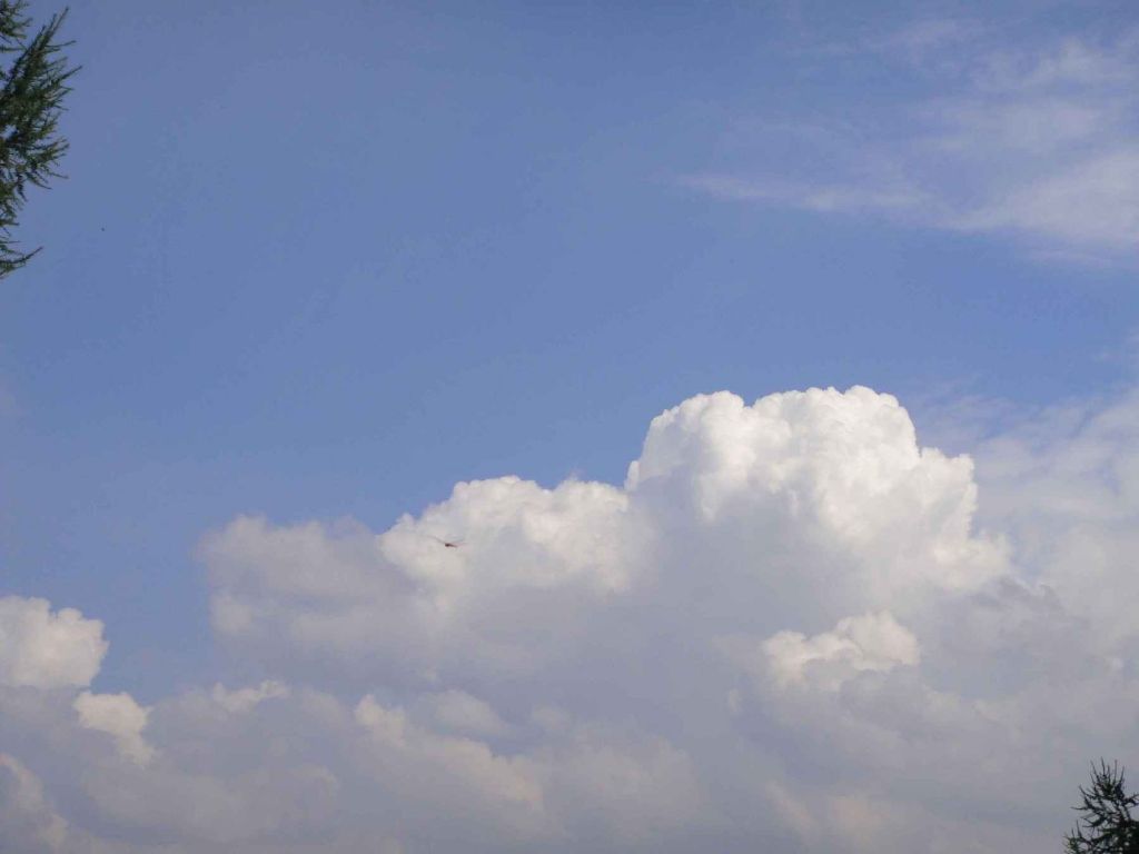 DSC04368_��ͼ��.jpg