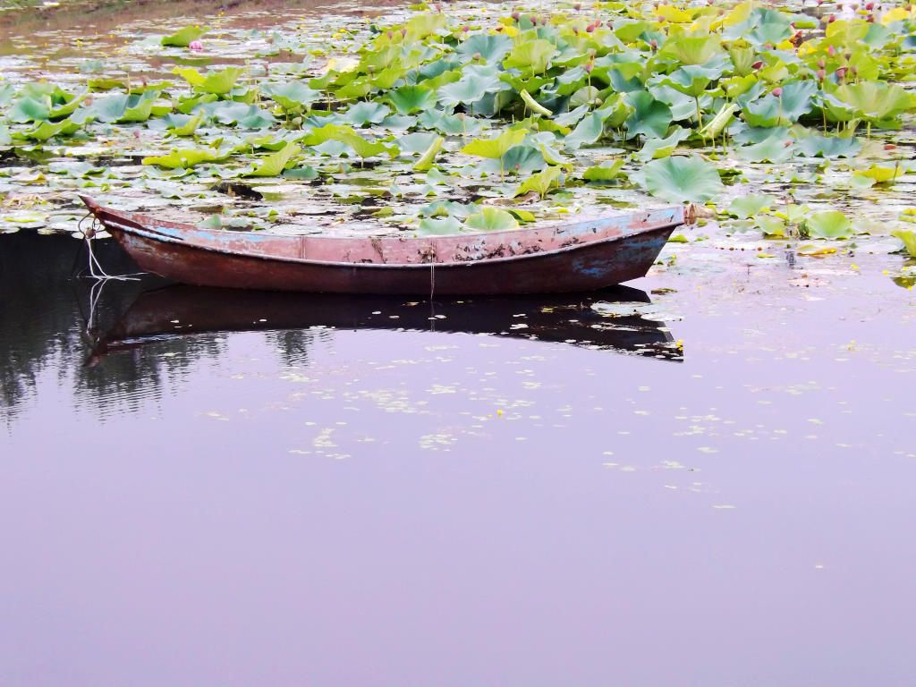 DSCF4567.JPG