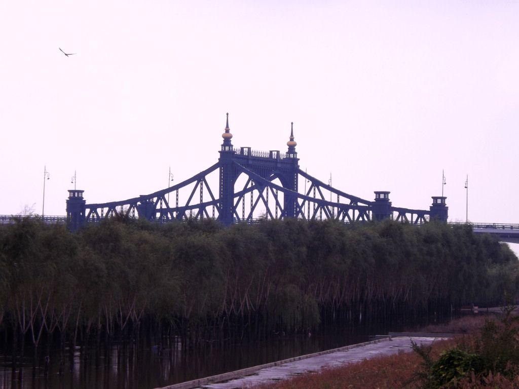 DSCF4588.JPG
