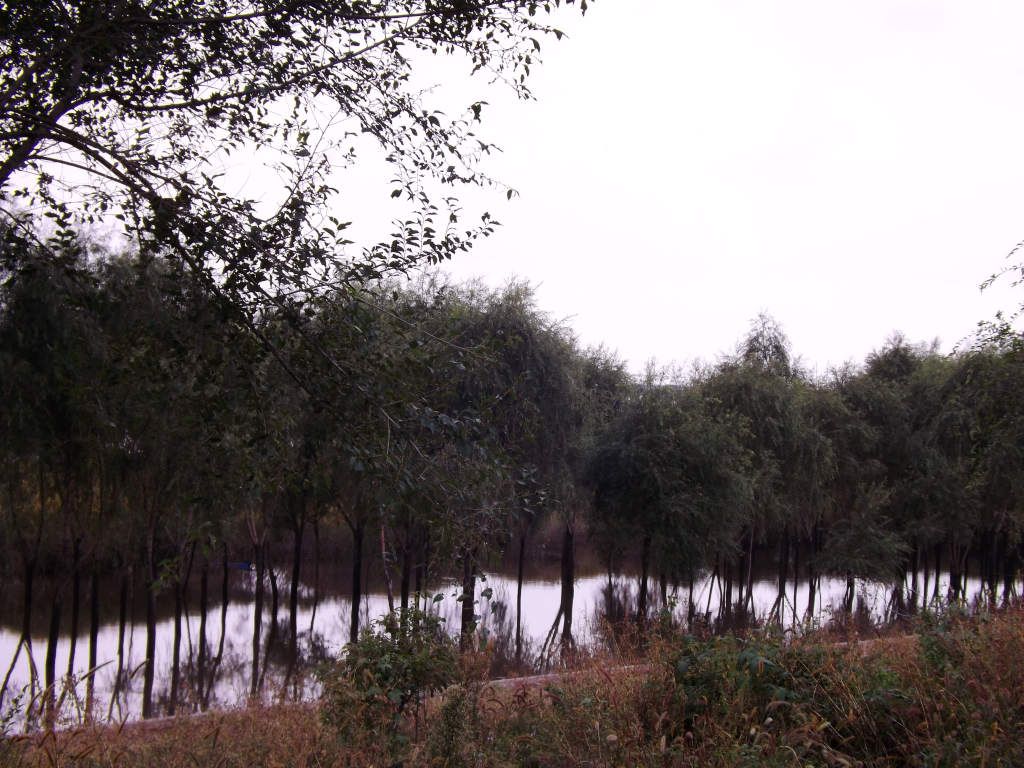 DSCF4583.JPG