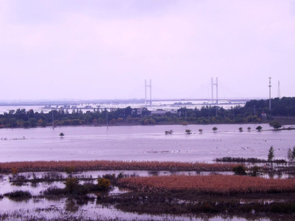 DSCF4610.JPG