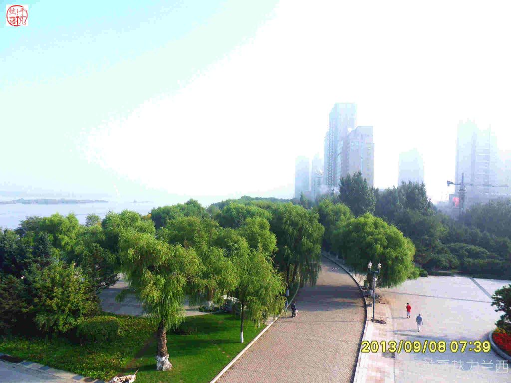 SDC12124.jpg
