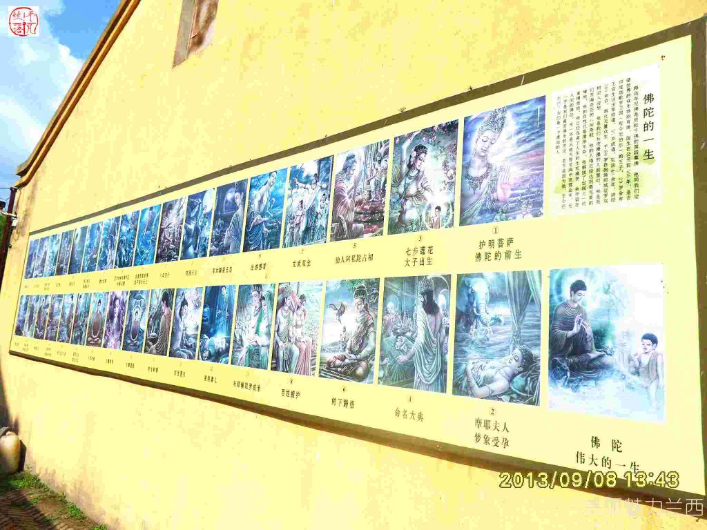 SDC12313.jpg