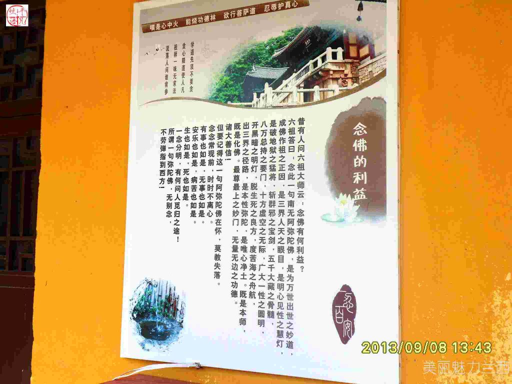 SDC12315.jpg