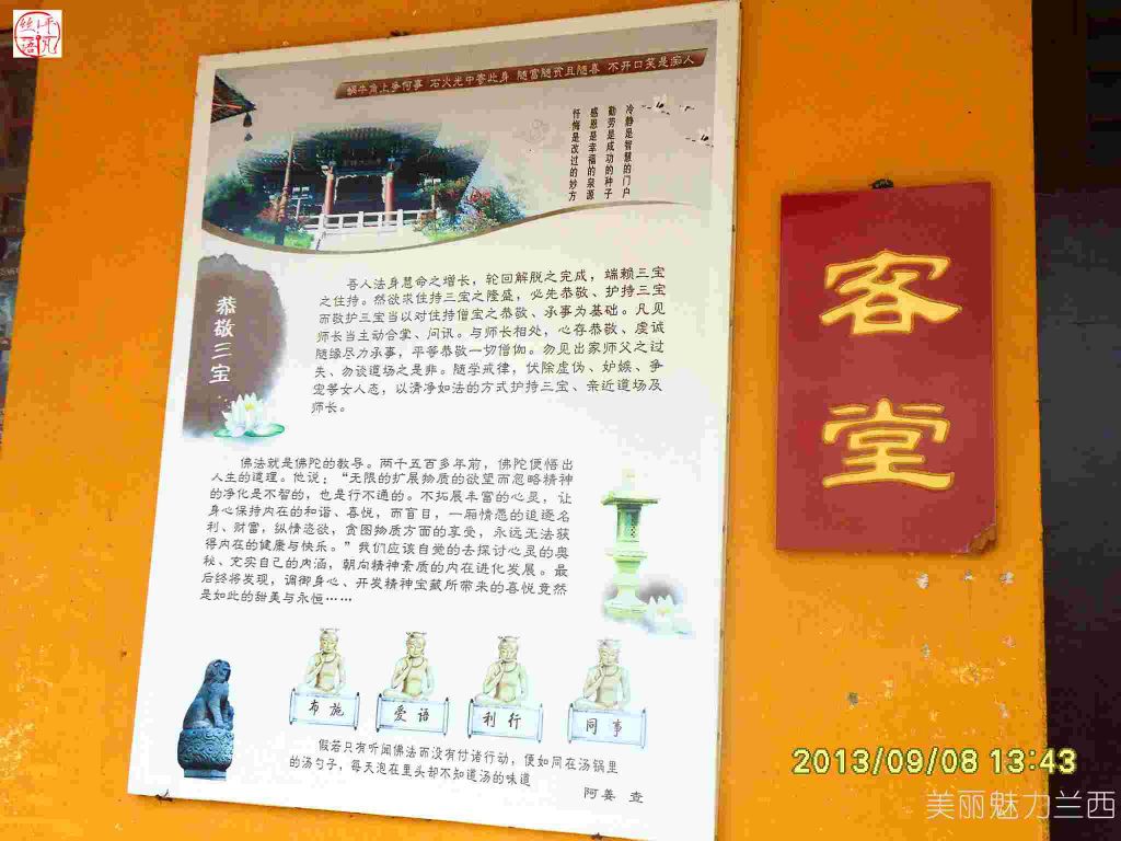 SDC12317.jpg