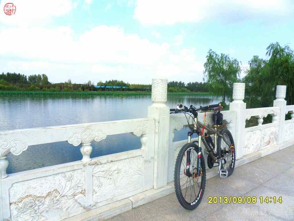 SDC12382.jpg