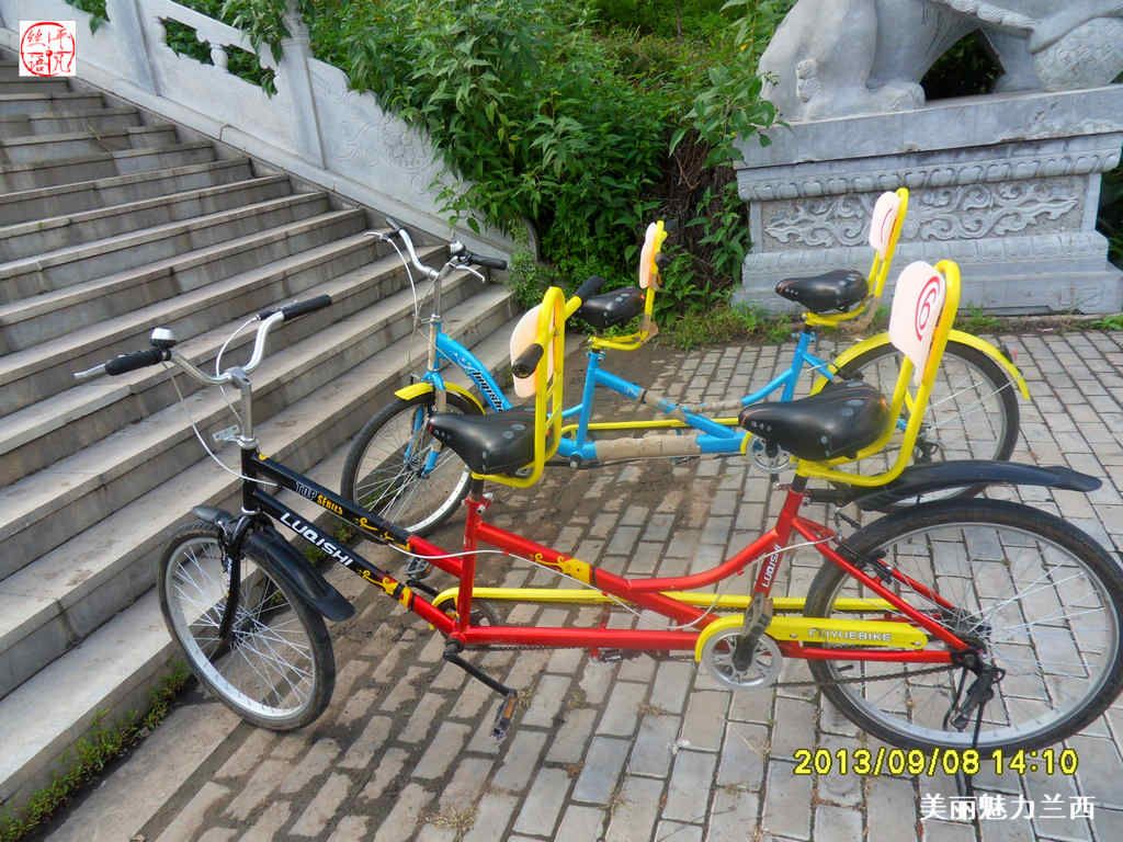 SDC12377.jpg