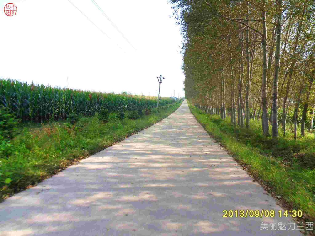 SDC12388.jpg