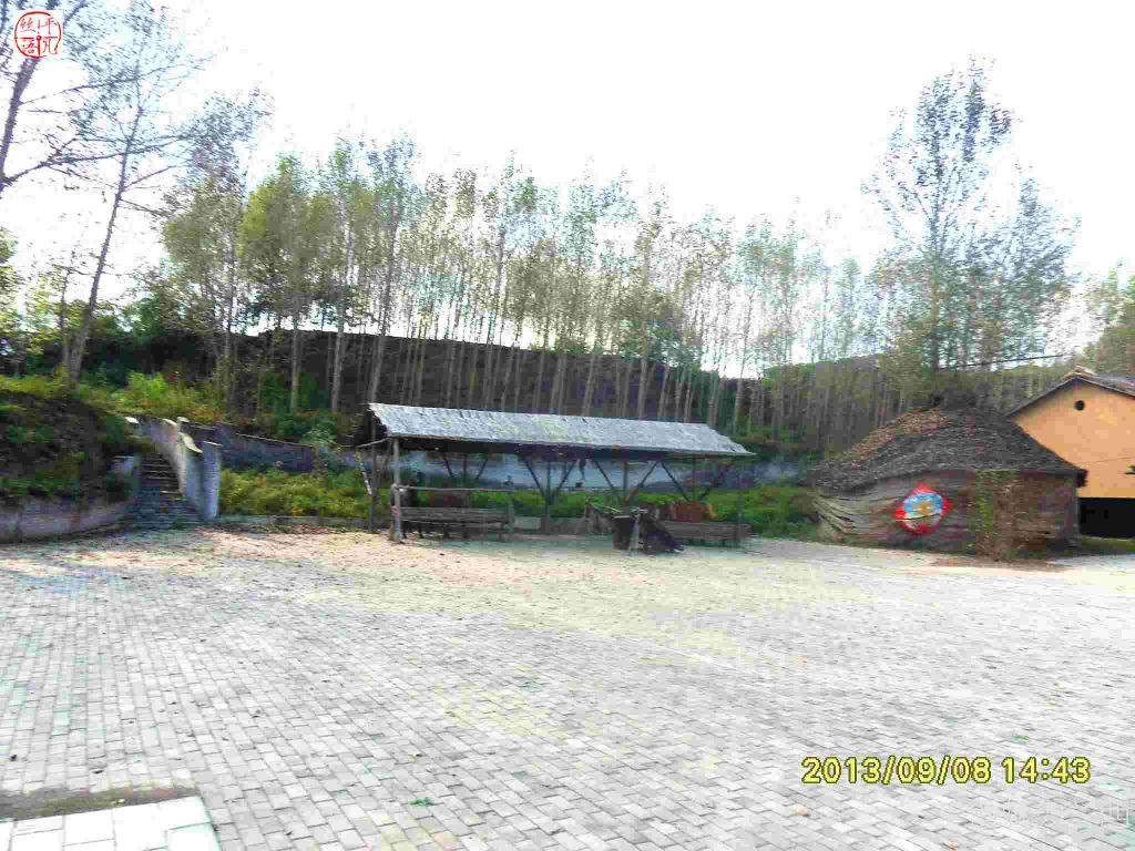 SDC12419.jpg