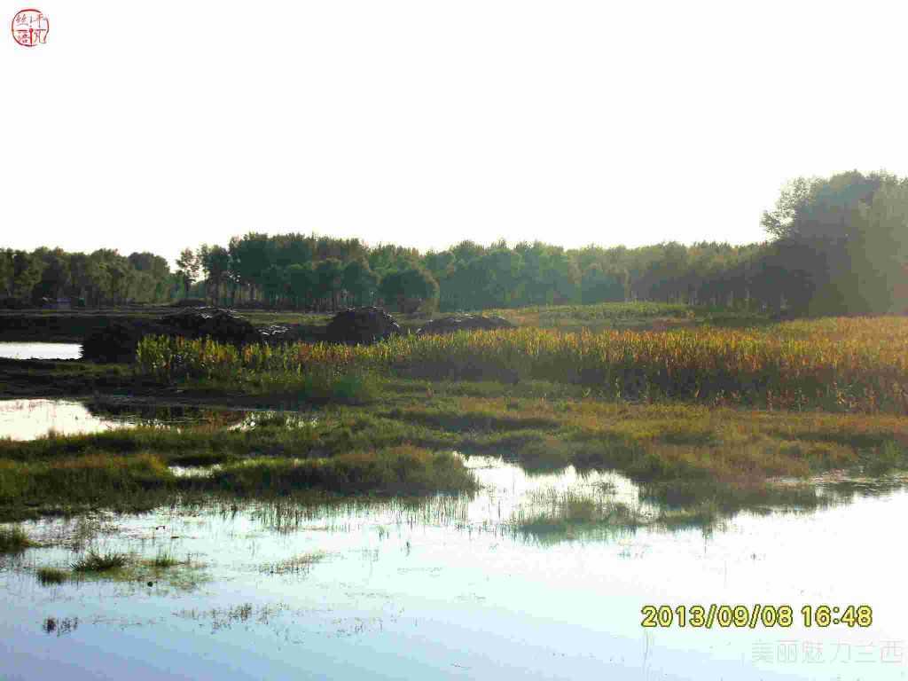 SDC12484.jpg