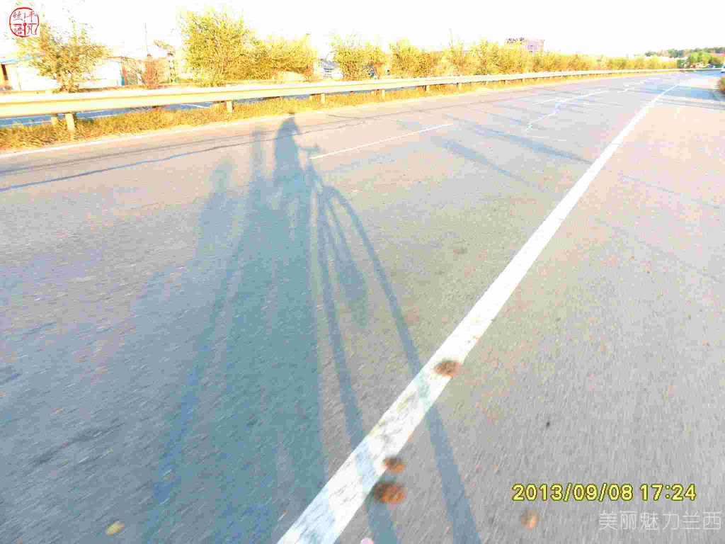 SDC12485.jpg