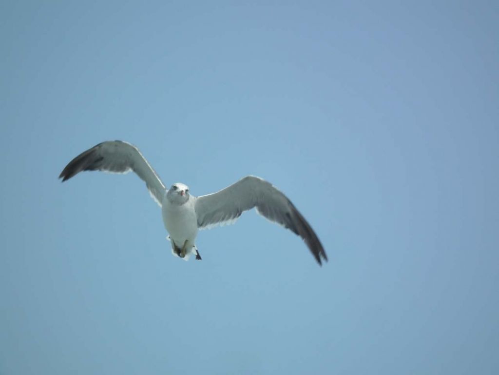 DSCF1091.JPG