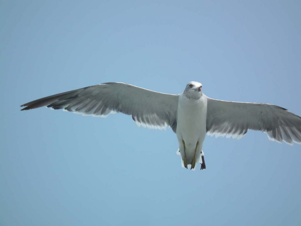 DSCF1090.JPG
