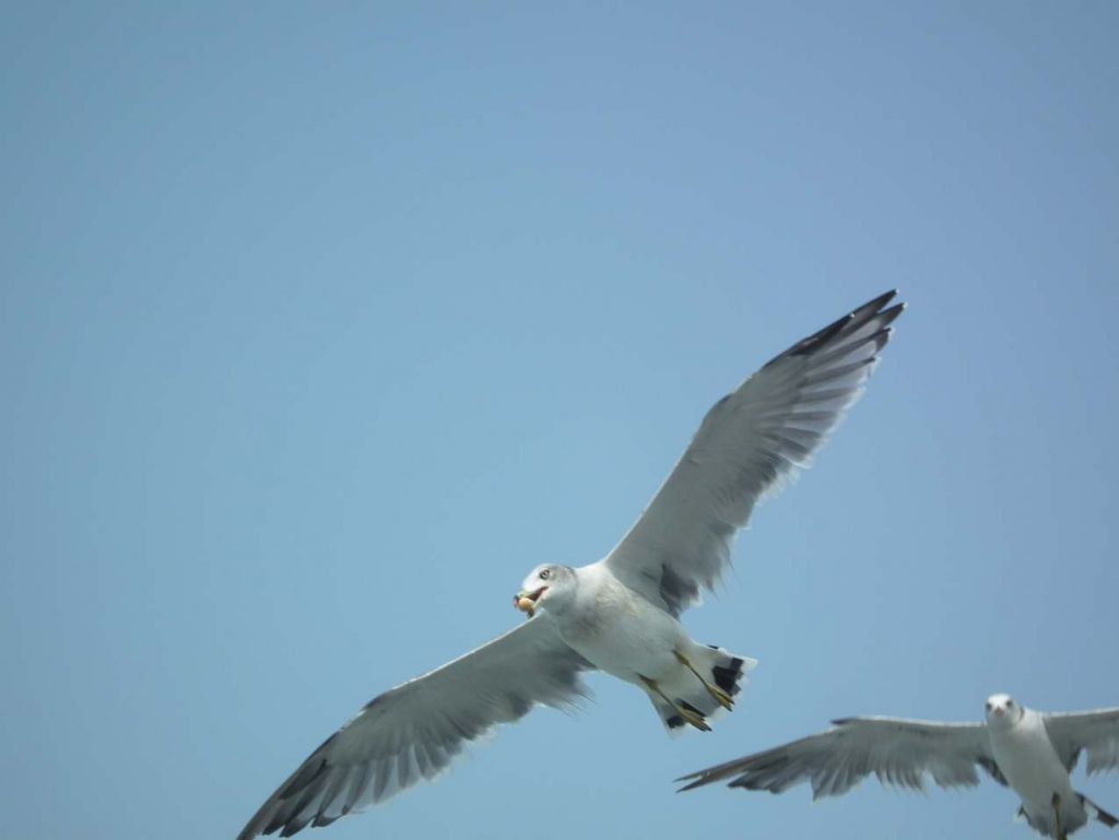 DSCF1097.JPG