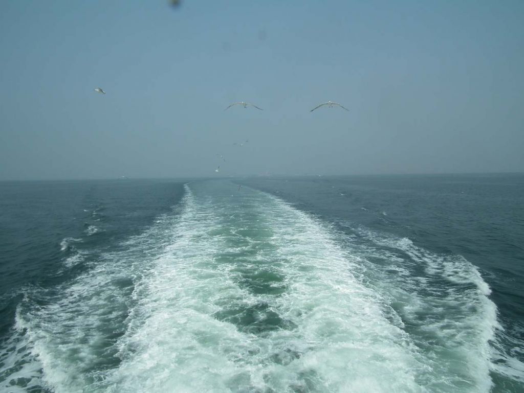 DSCF1118.JPG
