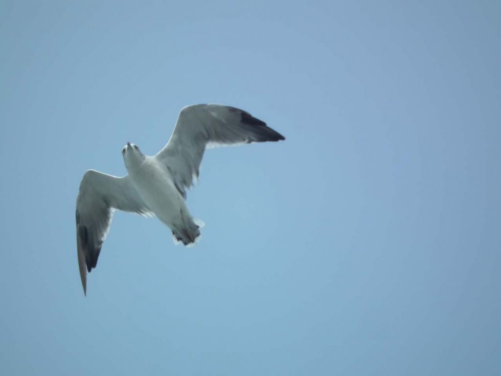 DSCF1129.JPG