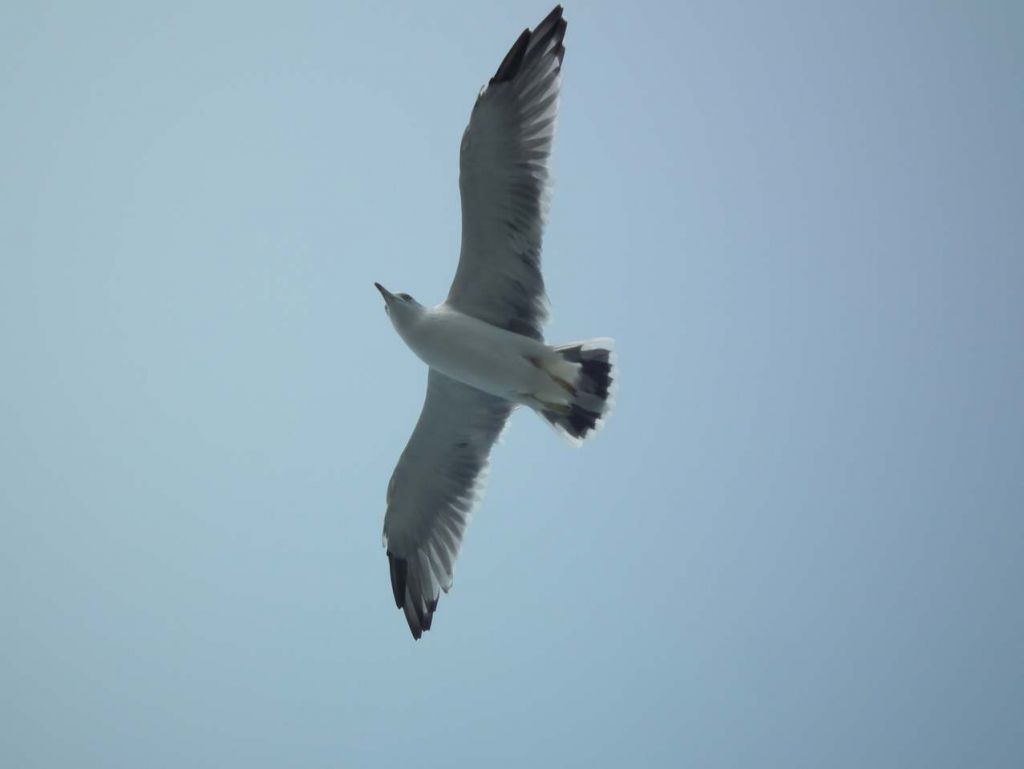 DSCF1127.JPG