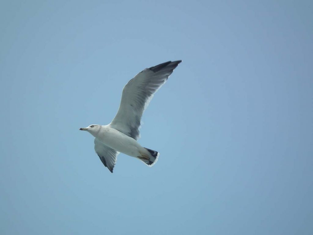 DSCF1128.JPG