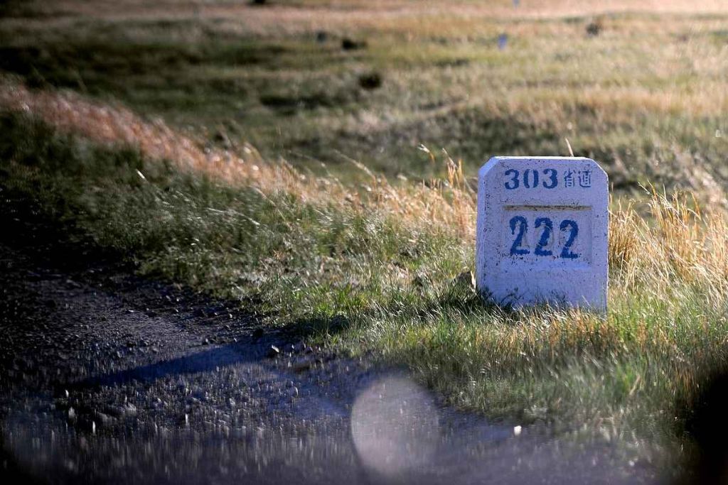 224.jpg