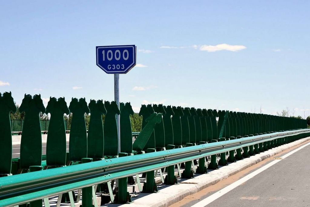 310.jpg
