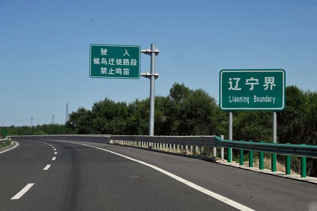 323.jpg