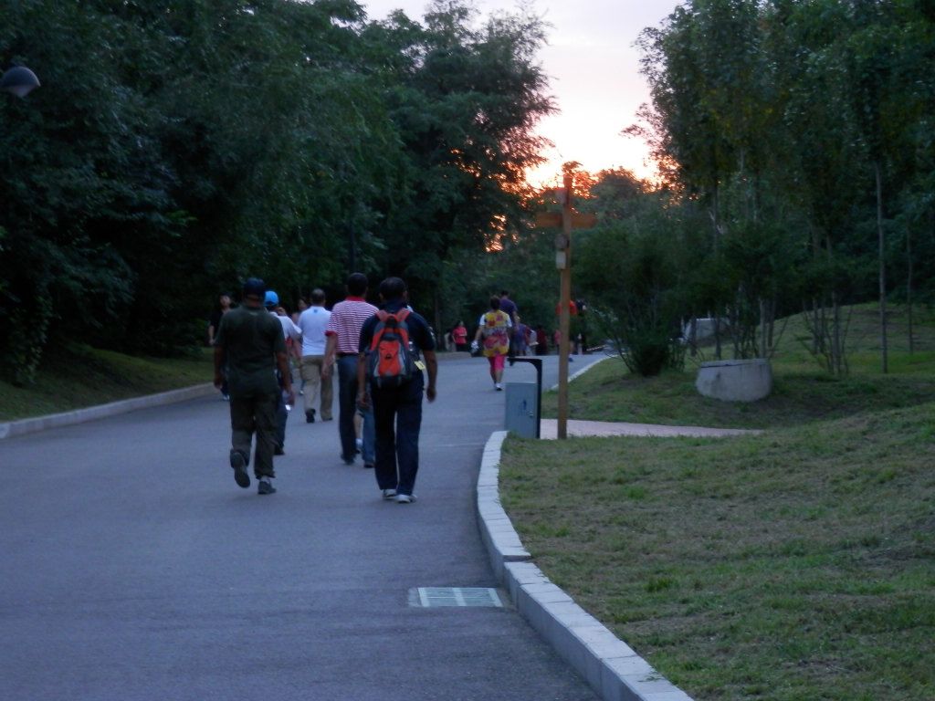 P8210046.JPG