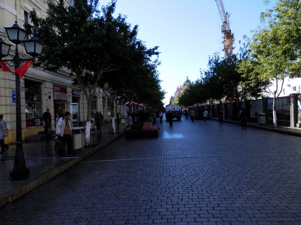 P9200226.JPG