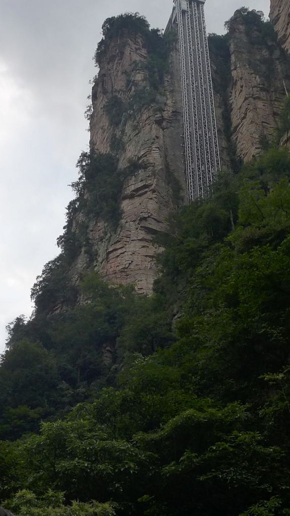 P1000827.JPG