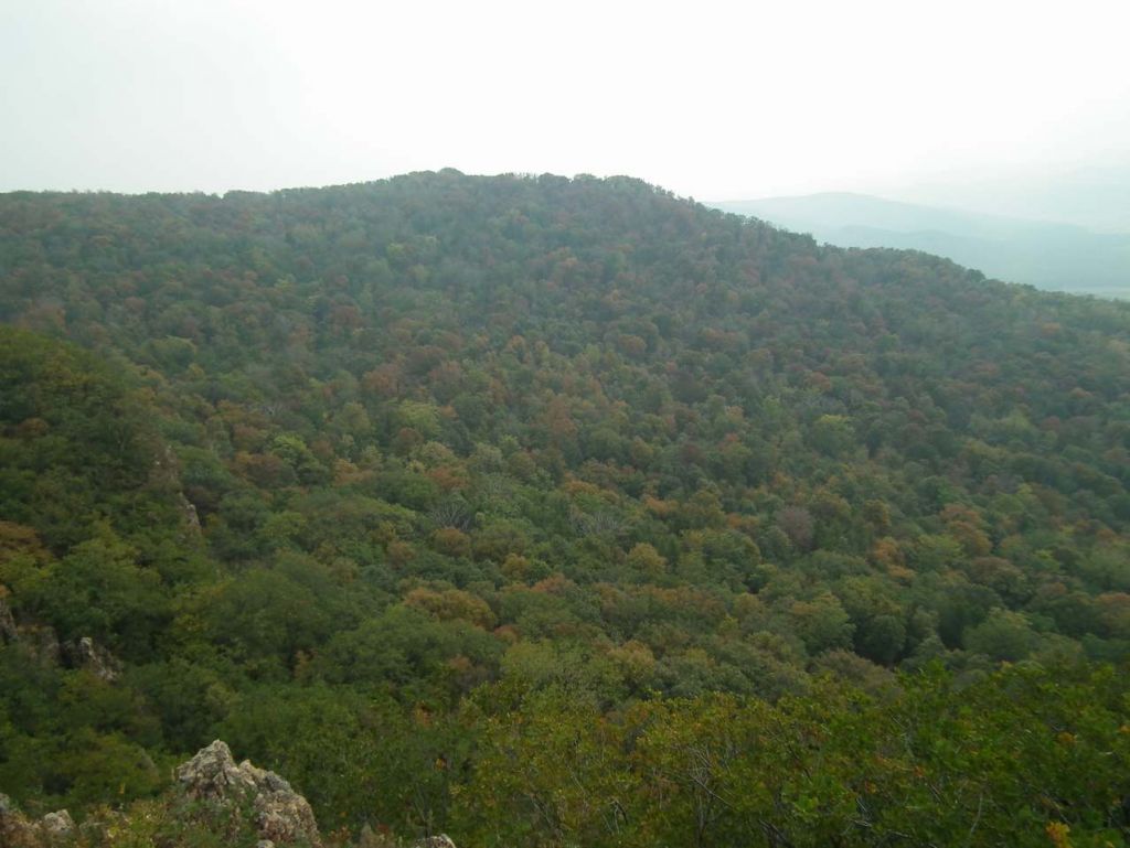 DSCF6445.JPG