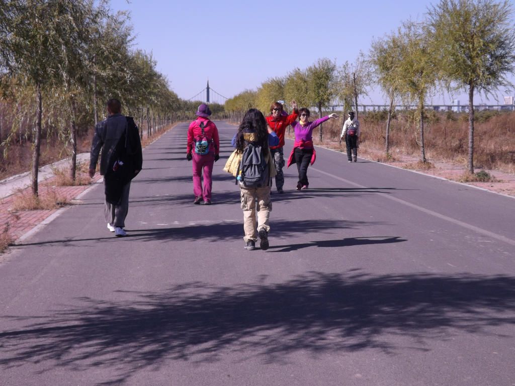 DSCF6437.JPG