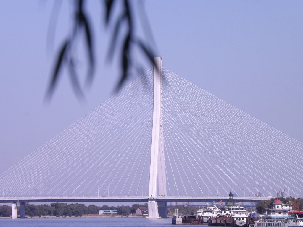 DSCF6451.JPG