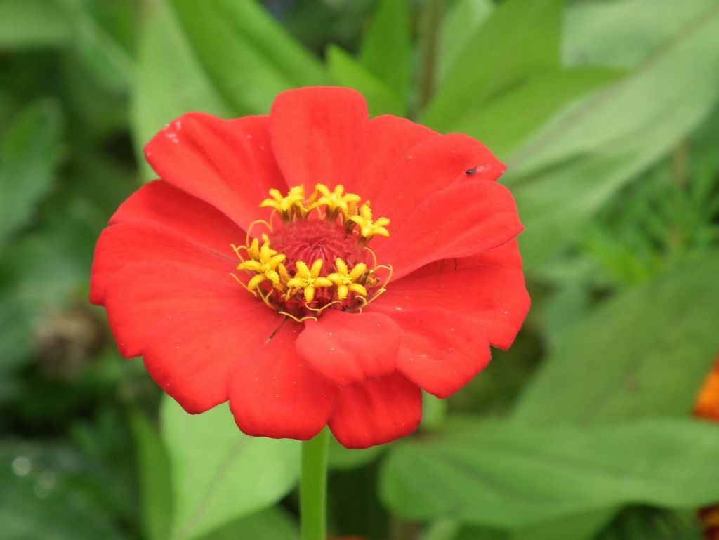 ���� DSCF2338.JPG