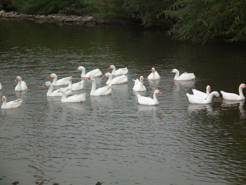 DSCF3351.JPG